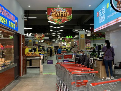 淘菜貓助力莘盛菜市場智慧升級 買菜就像逛超市，日用百貨一站購